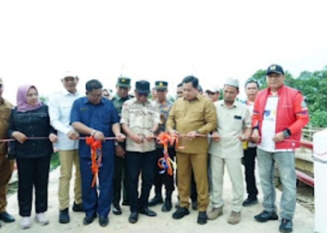 Peresmian Jembatan Penghubung Desa Margo Mulyo, Bupati Banyuasin Ingatkan Tonase Muatan