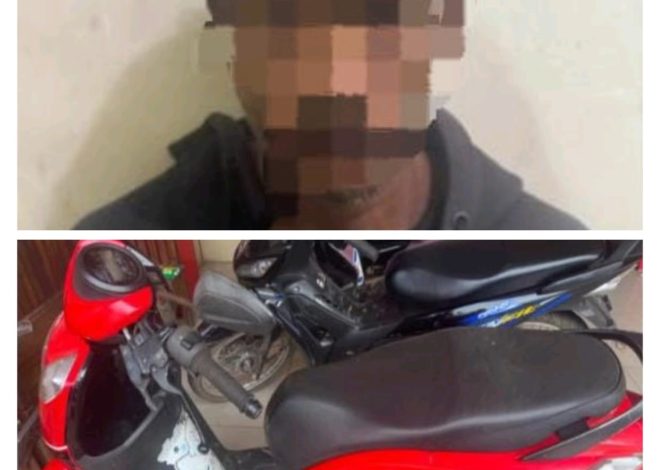 Sat Reskrim Polres Banyuasin Bekuk Penadah Motor Curian, Barang Bukti Ditemukan di Kebun Karet