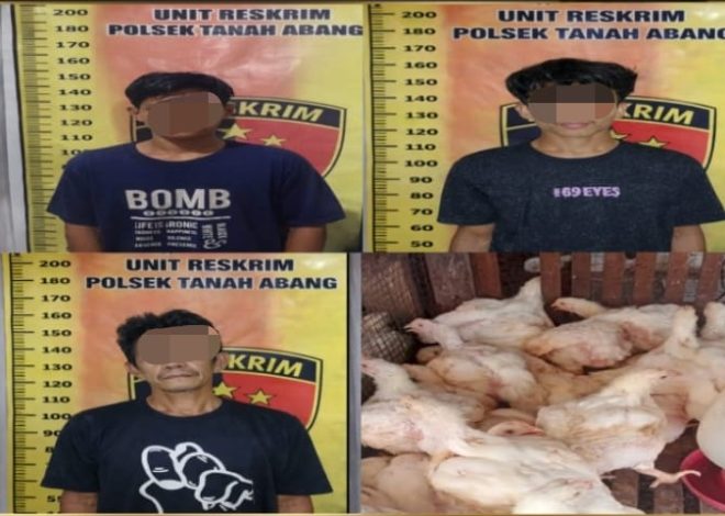 Polsek tanah Abang kabupaten Pali membongkar praktik penggelapan ayam dengan modus